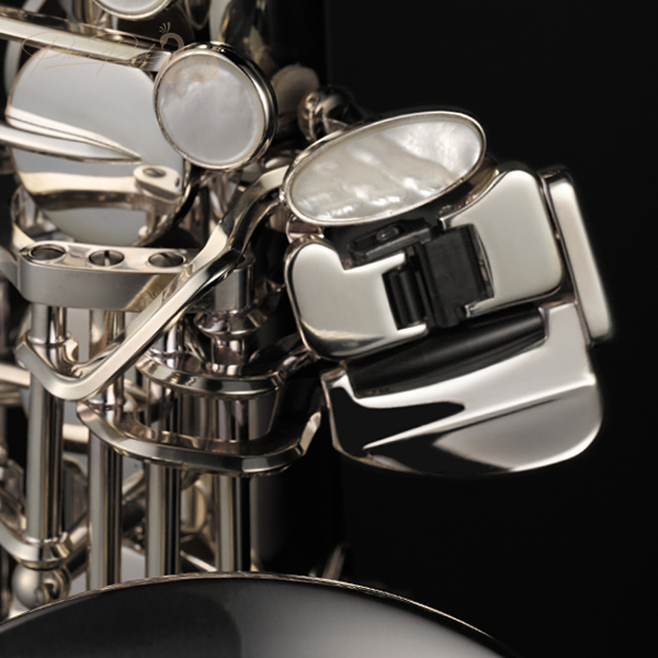 孔雀の誇りアルト詳細（写真）