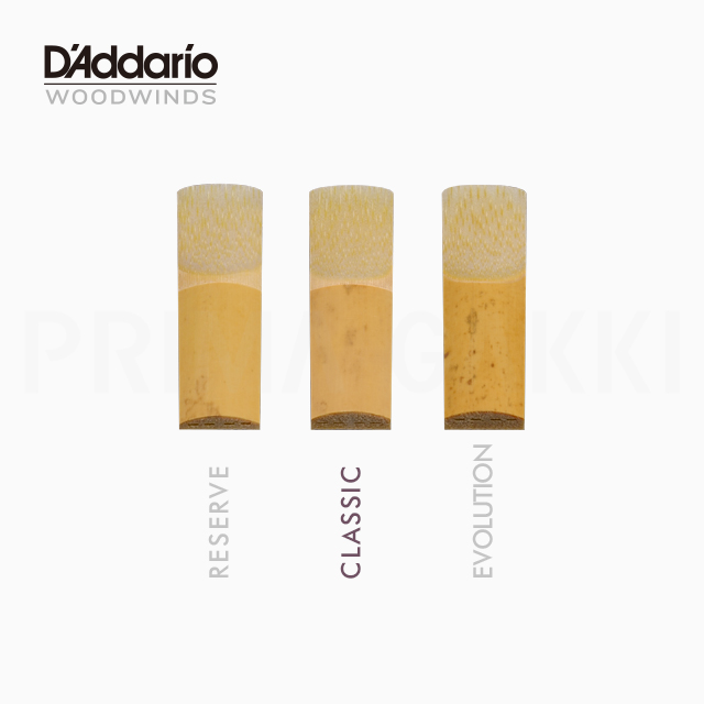 D'Addario Woodwinds リード Reserve