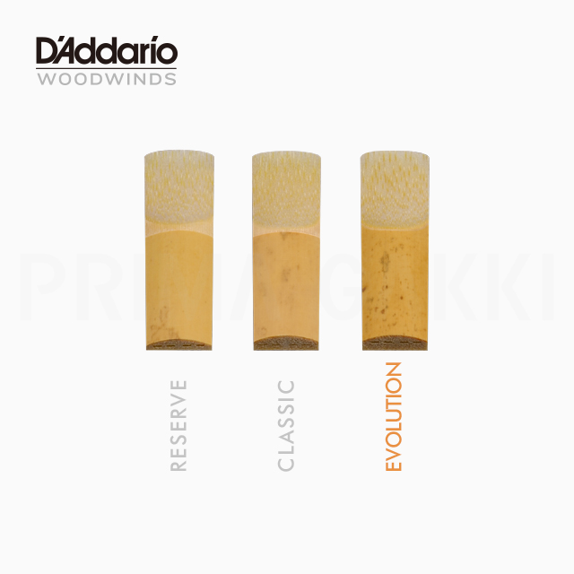 D'Addario Woodwinds リード Reserve