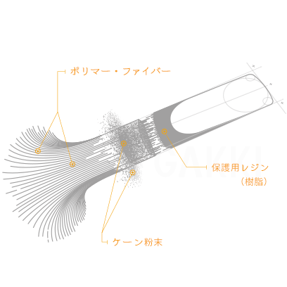 株式会社プリマ楽器 | D'Addario Woodwinds | リード | VENN（ヴェン）