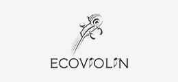 Ecoviolin